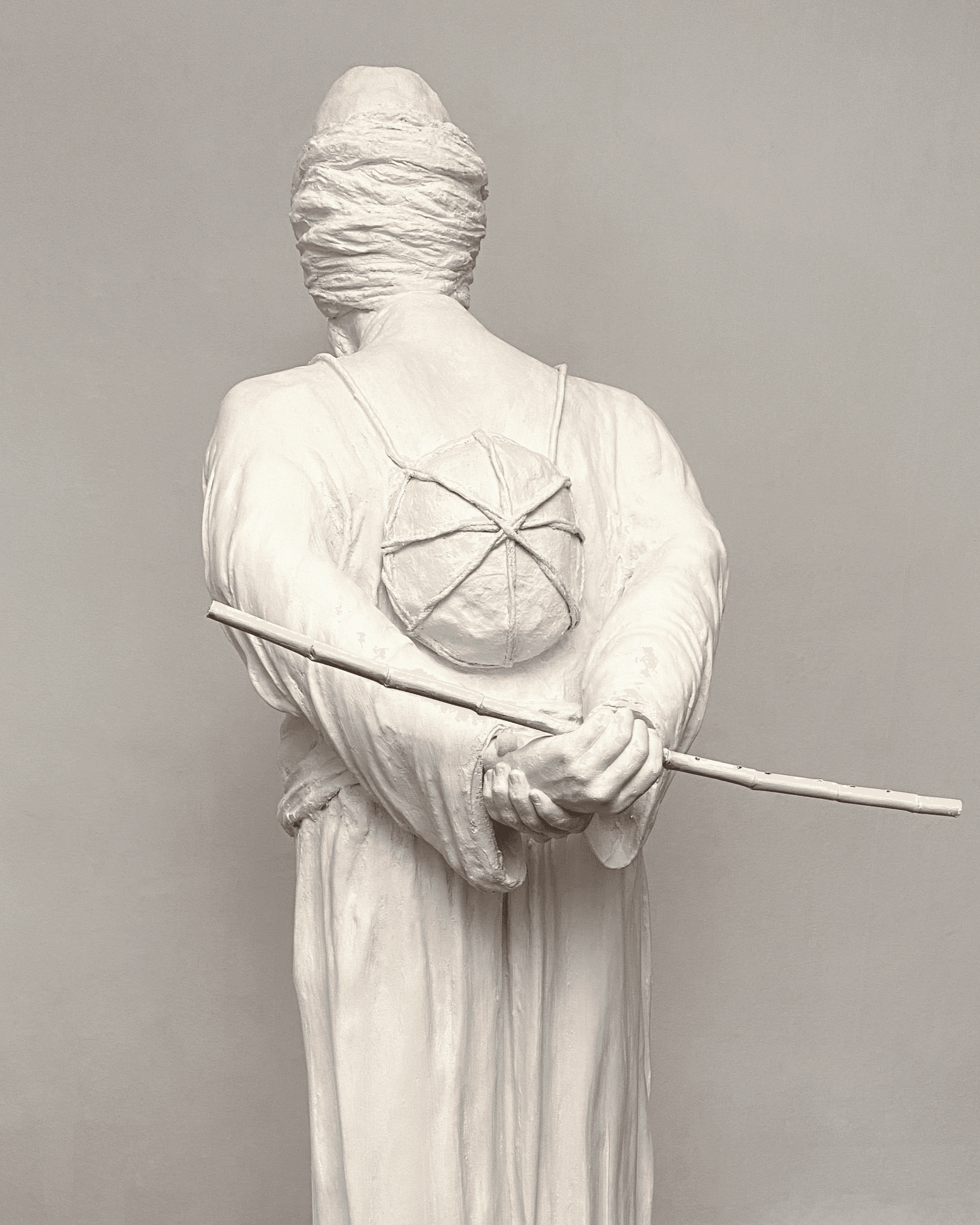 The Tortoise Trainer 1